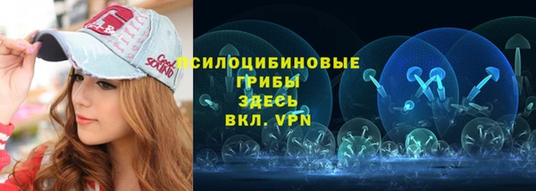 стаф Алзамай