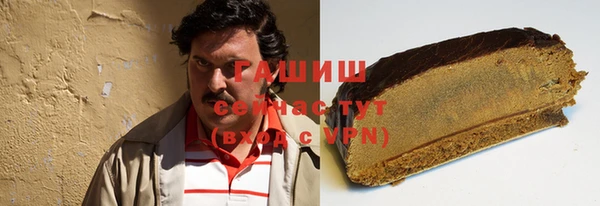 стаф Алзамай