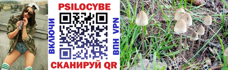 Галлюциногенные грибы мицелий купить закладку Собинка