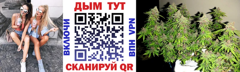 где продают наркотики  Собинка  Шишки марихуана Amnesia 